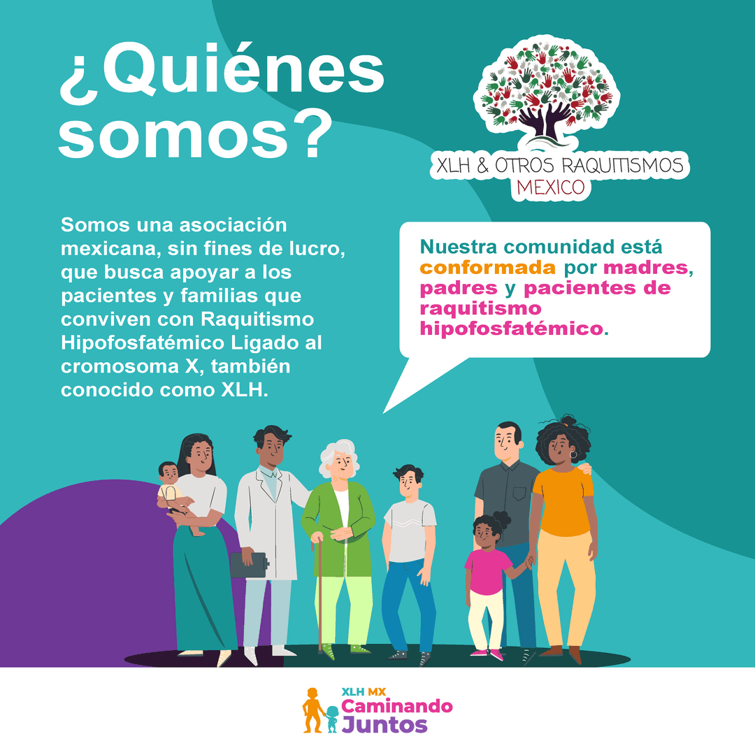 XLH México