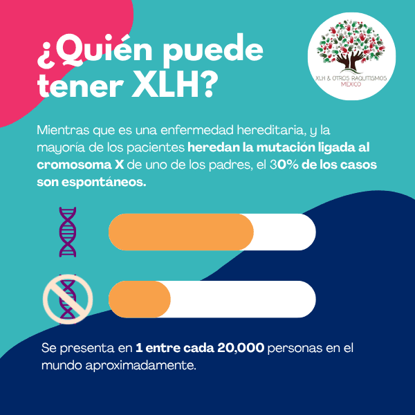 ¿Quién puede presentar XLH?